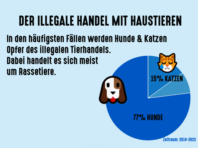 Grafik über illegalen Tierhandel