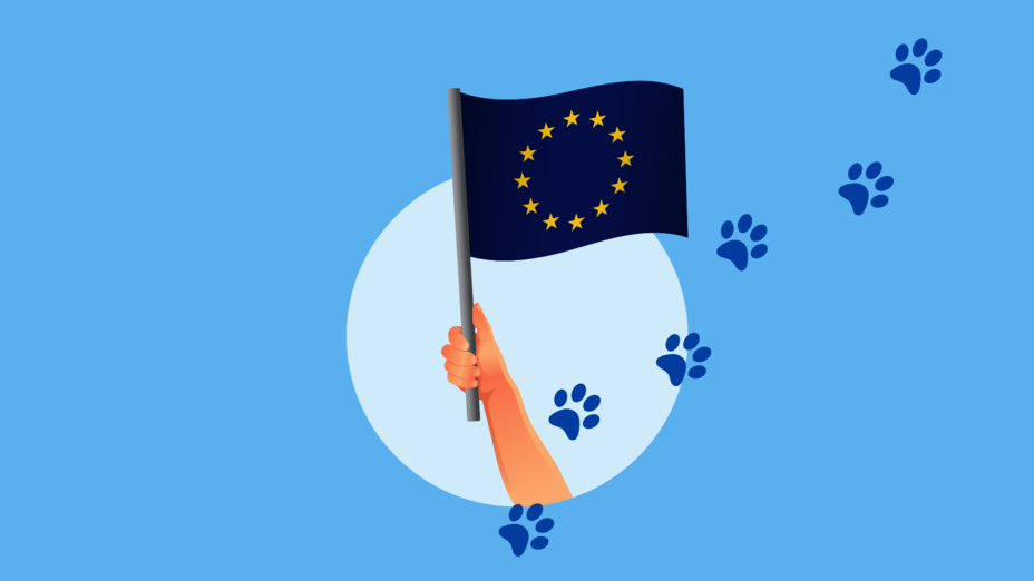 Grafik einer EU-Flagge vor blauem Hintergrund